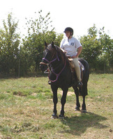 Randonner avec un Cheval de Mérens