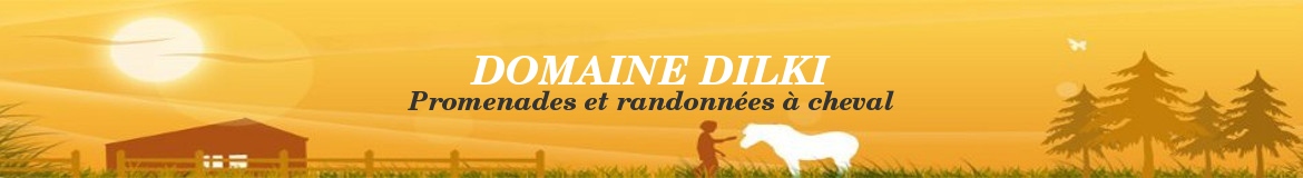 DOMAINE DILKI